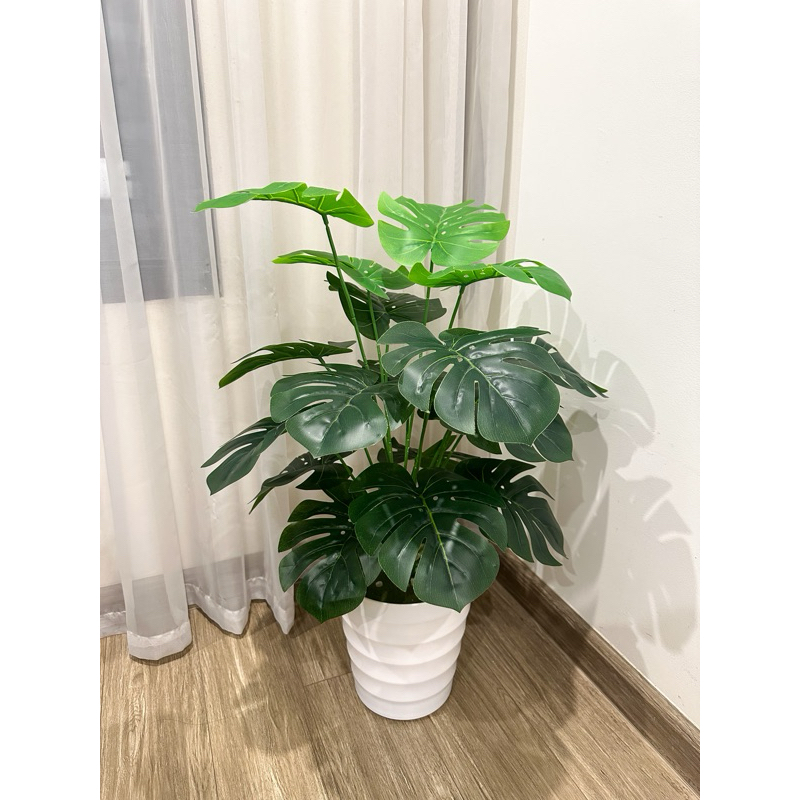 Cây trầu bà lá xẻ cao 70cm, cây giả decor trang trí nhà cửa, văn phòng, homestay
