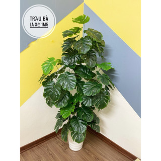Cây giả - cây trầu bà lá xẻ decor