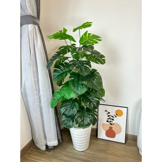 Cây giả - cây trầu bà lá xẻ decor