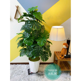 Cây giả - cây trầu bà lá xẻ decor