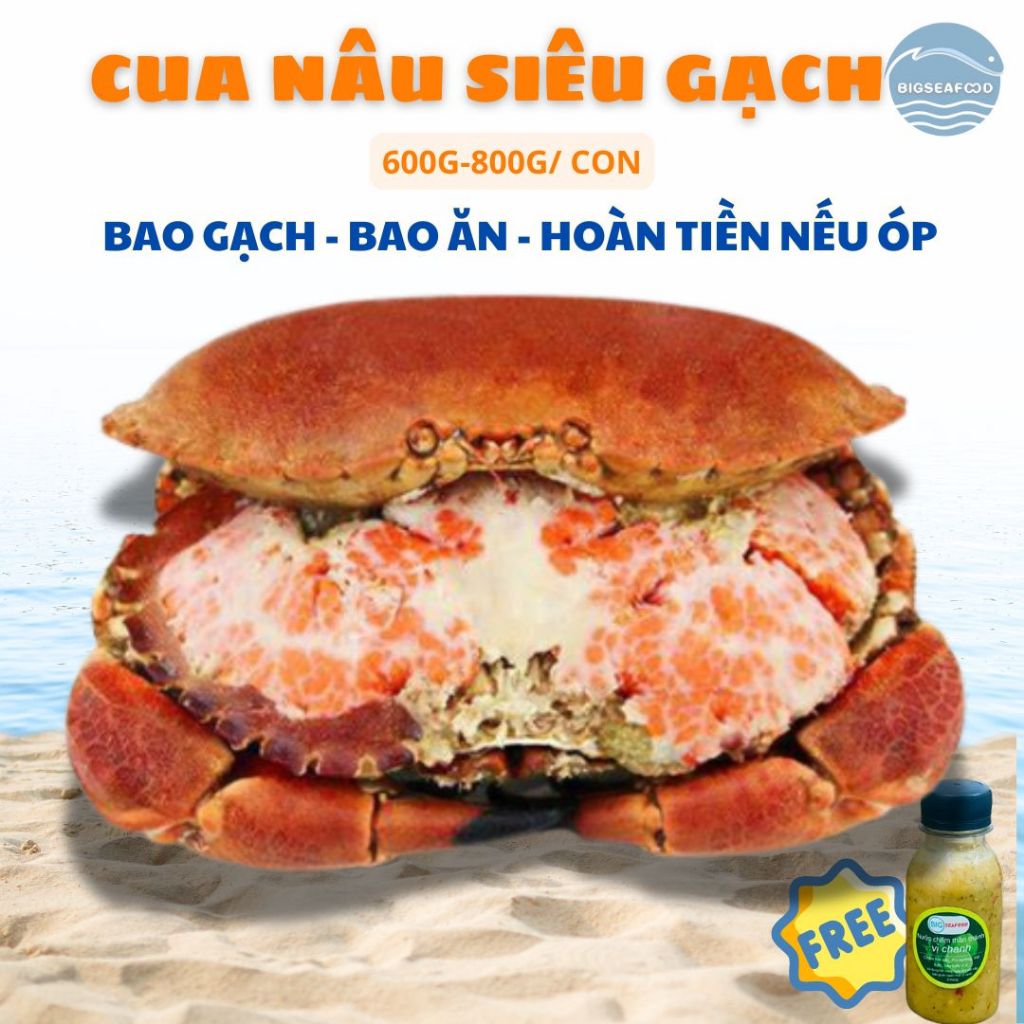 Hoả Tốc - Cua Nâu Siêu Gạch - Bao Ăn 1 Đổi 1