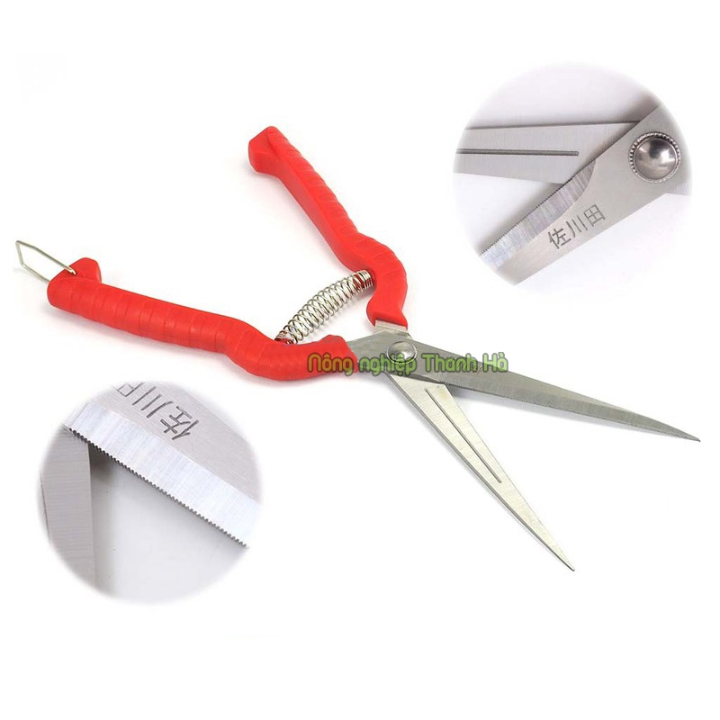 Kéo cắt cành lưỡi dài - K31