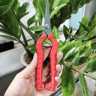 Kéo cắt cành lưỡi dài - K31