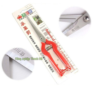 Kéo cắt cành lưỡi dài - K31