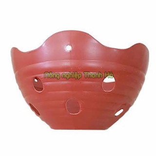 Chậu nhựa trồng lan phi 20cm - CN25