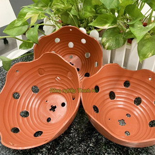Chậu nhựa trồng lan phi 20cm - CN25