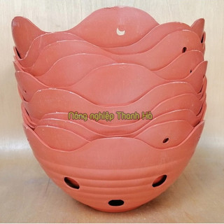 Chậu nhựa trồng lan phi 20cm - CN25