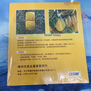 Miếng dán dính côn trùng, ruồi vàng 10 miếng - T34