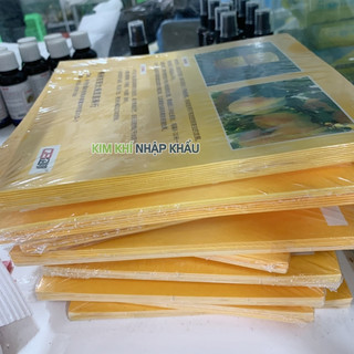 Miếng dán dính côn trùng, ruồi vàng 10 miếng - T34