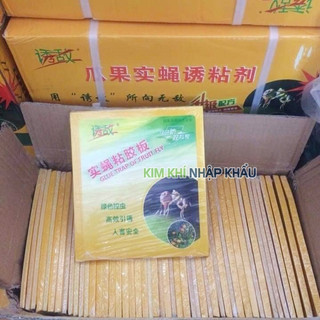 Miếng dán dính côn trùng, ruồi vàng 10 miếng - T34
