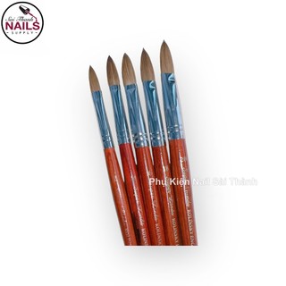 Cọ bột Supper Linda   Nail