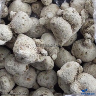 Tam thất nam 100g, củ to, khô, sạch, tốt cho tiêu hóa, giảm đau xương khớp, bổ khí huyết, tim mạch