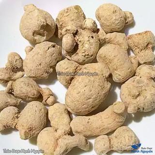 Tam thất nam 100g, củ to, khô, sạch, tốt cho tiêu hóa, giảm đau xương khớp, bổ khí huyết, tim mạch