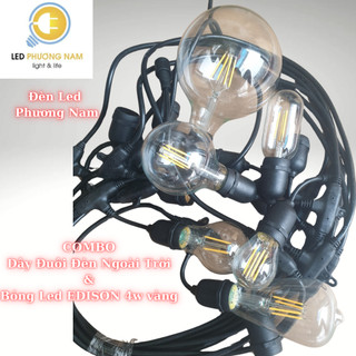 Bóng Led EDISON nhiều loại [Giả Sợi Đốt], 4w Vàng Trang Trí DECOR