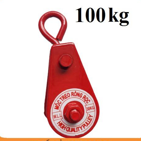 Ròng Rọc Pully 100 kg