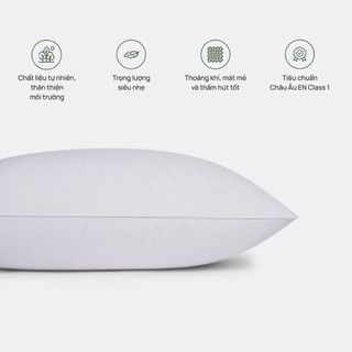 Ruột gối lông vũ Everon ( 45x65, cao 18cm)