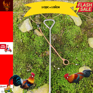 1 cọc Inoc + 1 xích chân gà mồi, xích chân gà rừng, xích chân gà tre