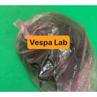 GÁO ĐÈN PHA VESPA LXV