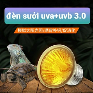 Đèn sưởi UVA +UVB 3.0 cho rùa, bò sát,...