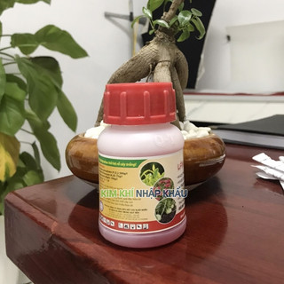 Phân bón lá siêu lân đỏ đậm đặc QT04 - T189