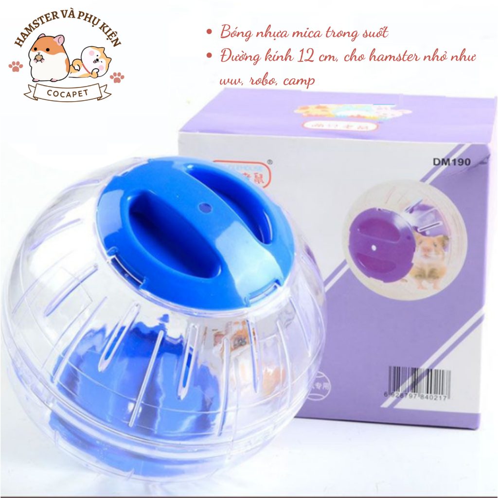 Bóng chạy hamster có đế và không đế