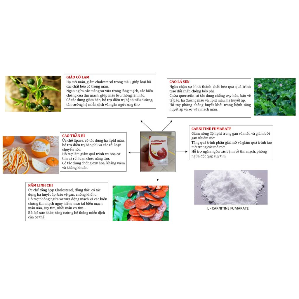 [COMBO 3 HỘP] LIPIXGO VIÊN UỐNG HỖ TRỢ SỨC KHỎE HUYẾT ÁP, PHÒNG NGỪA ĐỘT QUỴ TIM MẠCH,GIẢM MỠ MÁU ỔN ĐỊNH ĐƯỜNG HUYẾT