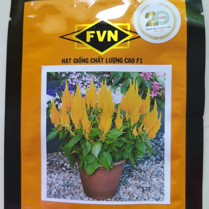 Hạt giống hoa mào gà lửa - Celosia FVN CEL 173 Bright Sparks Bright Yellow gói 100 hạt