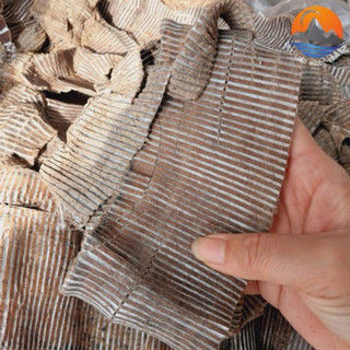 Đỗ Trọng bắc, đỗ trọng chích muối, khô, mới, nguyên chất