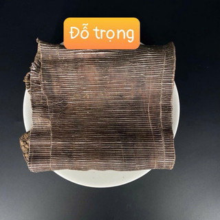 Đỗ Trọng bắc, đỗ trọng chích muối, khô, mới, nguyên chất