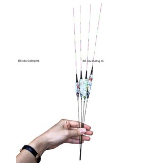 Phao câu tay đèn nano hoa 2 ngọn