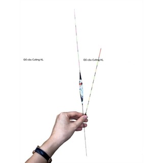 Phao câu tay đèn nano hoa 2 ngọn