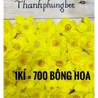 HOA MAI ĐÀO SIZE TO 8CM