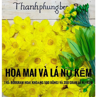 HOA MAI ĐÀO SIZE TO 8CM