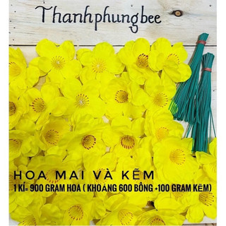 HOA MAI ĐÀO SIZE TO 8CM