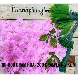 HOA MAI ĐÀO SIZE TO 8CM