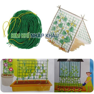 Lưới cước làm giàn cho cây thân leo - D119