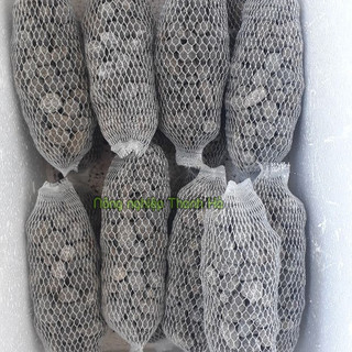 10 túi phân dê cho lan dài 10cm - GT7