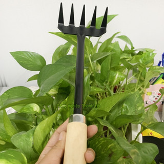 Cào xới đất mini cán gỗ - D29