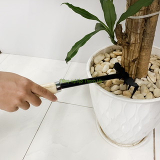 Cào xới đất mini cán gỗ - D29