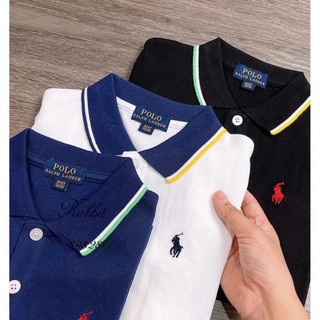 Áo polo cổ sắc màu RL