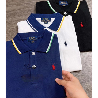 Áo polo cổ sắc màu RL