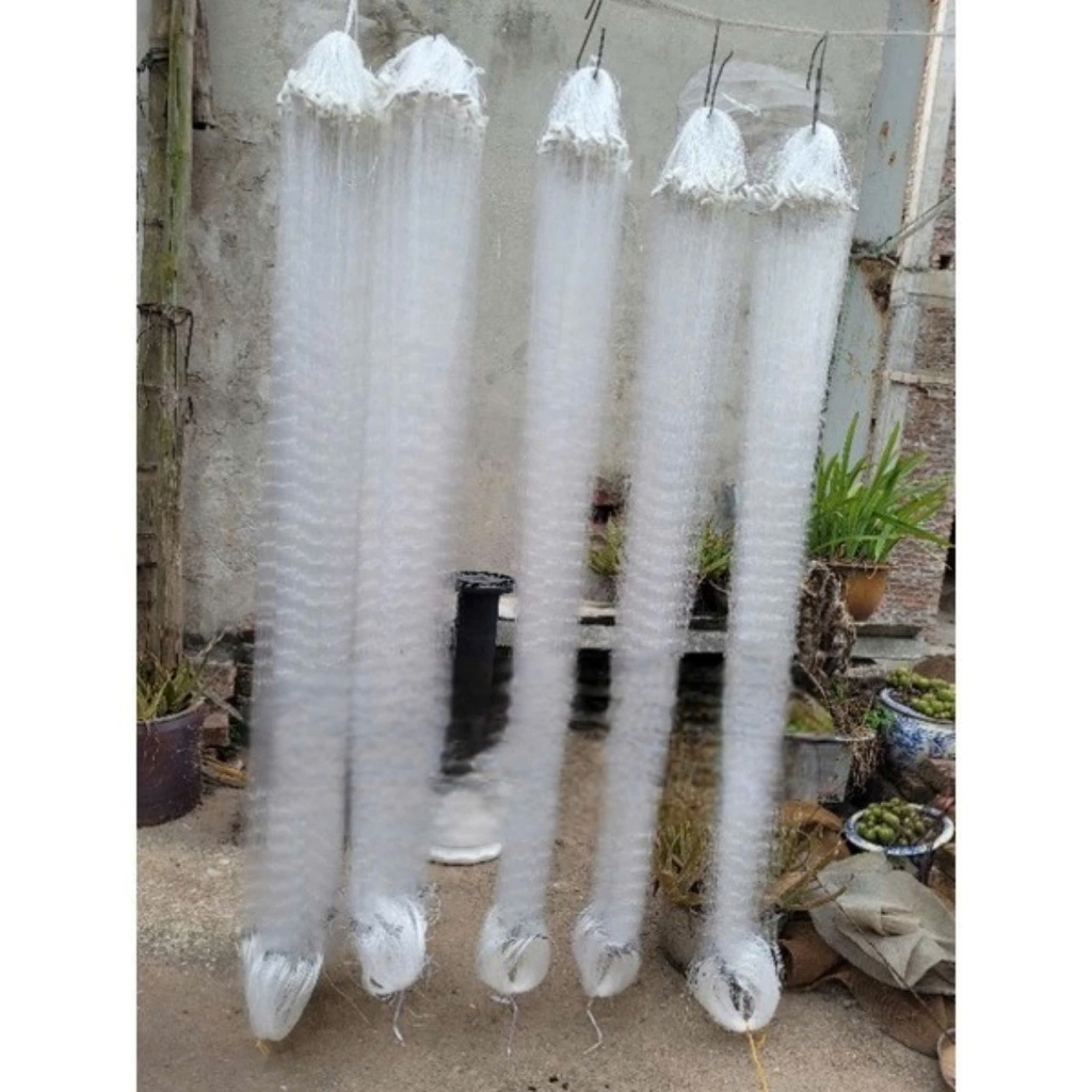 Lưới đánh cá 1 màn then 3 cao 1,2m dài 60m bắt cá rô phi và các loại cá khác