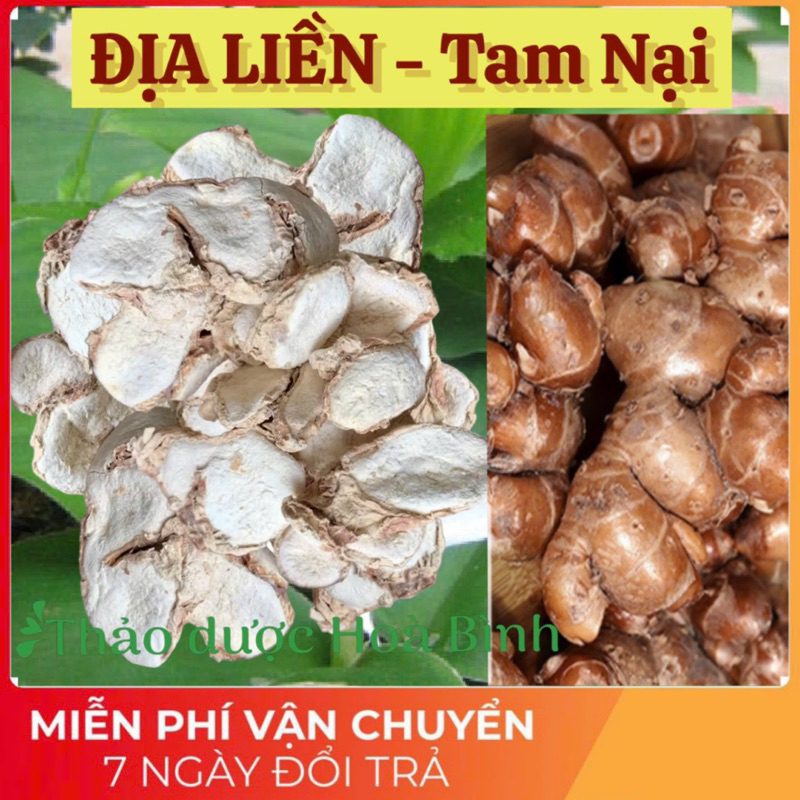 Địa liền, Sơn nại, Tam nại ( dạng bột và củ ) chuẩn sạch thơm