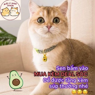 CATSRANG BAO 5KG-HẠT THỨC ĂN MÈO
