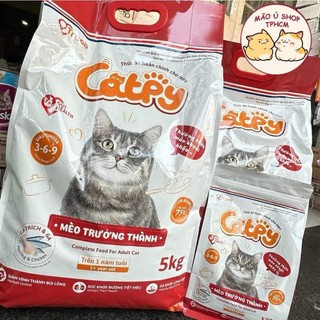   BAO 5KG  Hạt Cho Mèo CATPY CAO CẤP- Hạn Chế Búi Lông Hỗ Trợ Đường Tiết Niệu - Hạt Có Dầu Cá Cao Cấp Dành Cho Mèo KÉN ĂN 