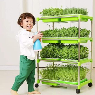  Bộ chậu kệ trồng rau mầm thủy canh chuyên dụng có bánh xe siêu tiện lợi 