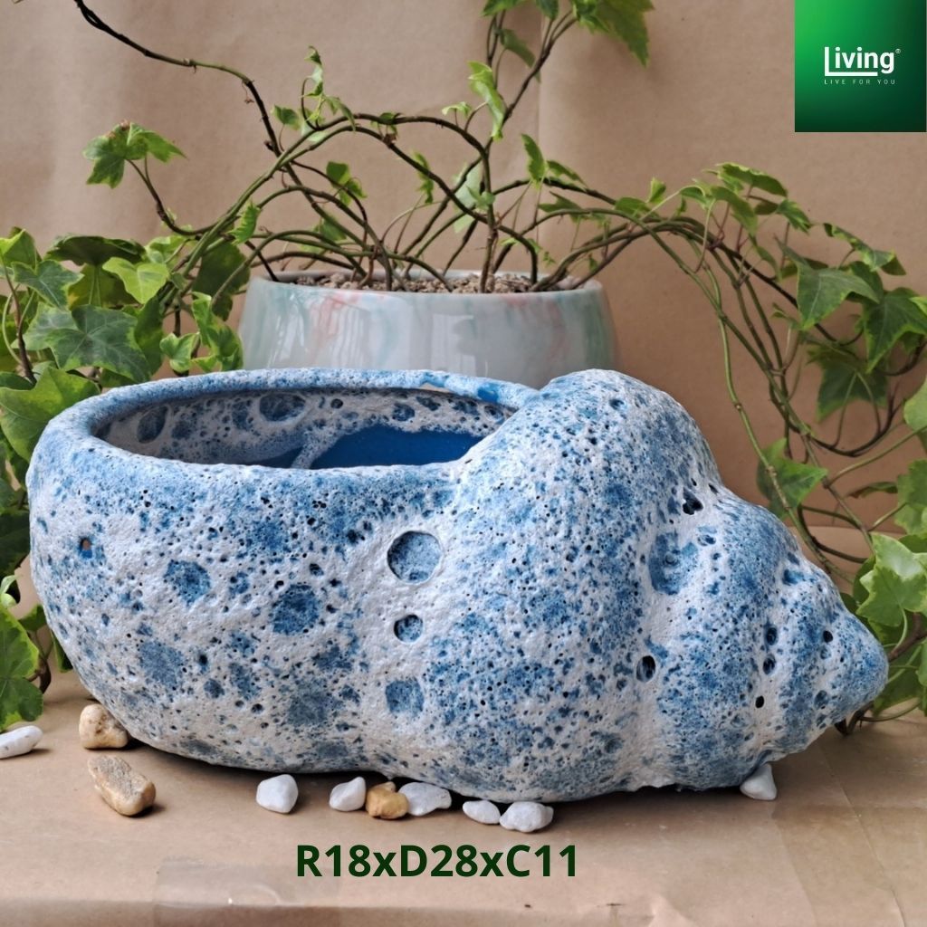 Chậu hình Ốc to trồng sen đá, cây cảnh men atlantis, men sôi, men bọt biển gốm sứ Bát Tràng R18xD28x