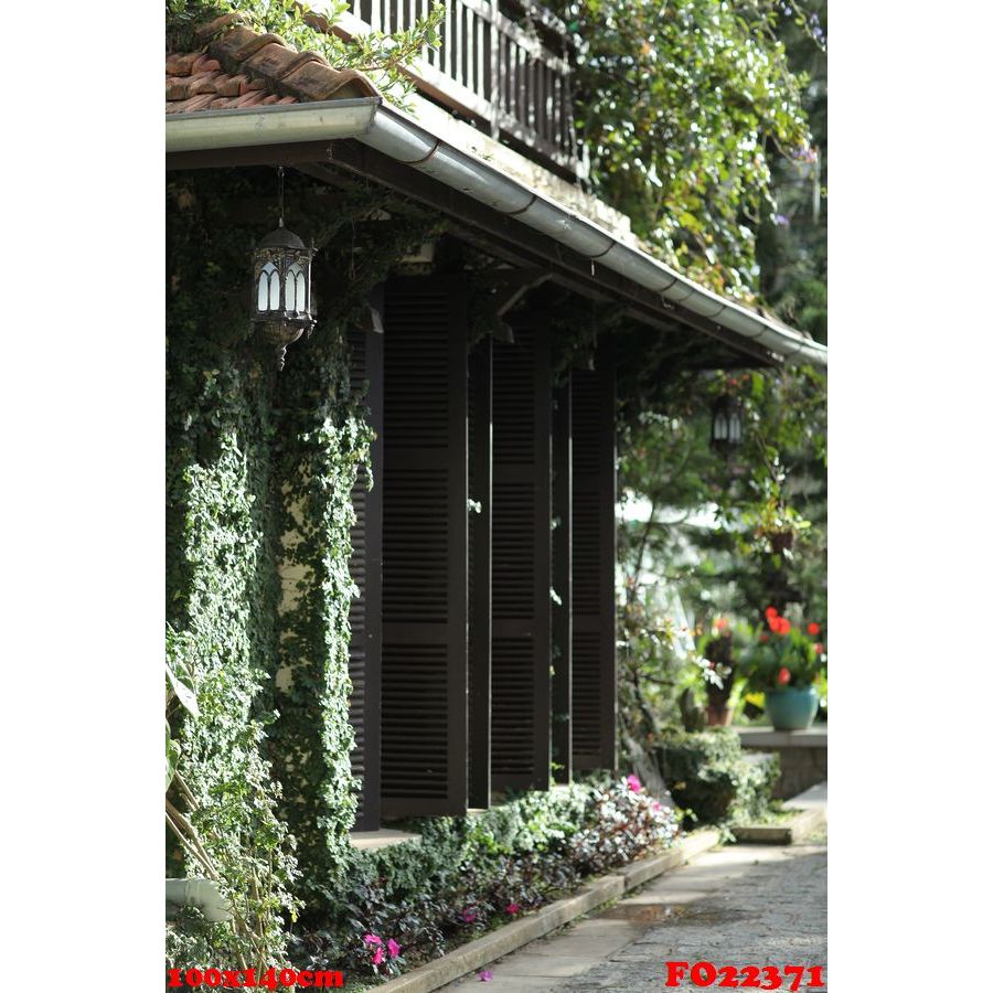 Backdrop vải 3d size 150x250cm in cảnh phim trường FO22267<Tặng móc dán+kẹp treo>