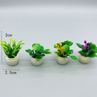 Chậu cây mini trang trí nhà mô hình, tiểu cảnh, dollhouse, nhà que kem handmade