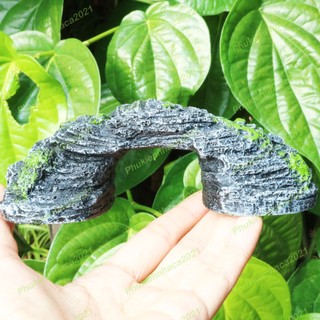 Cầu thang cho rùa, bò sát phơi nắng